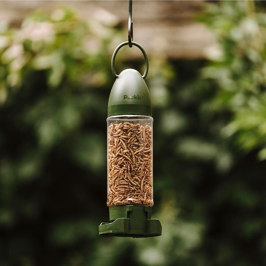 Peckish Mealworm Filled Wild Bird Feeder – 90g Ready-to-Hang Feeder
