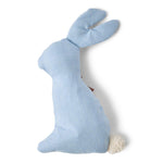 Catnip & Crinkle “Benji Bunny” Plush Cat Toy – Textured Bunny with Catnip